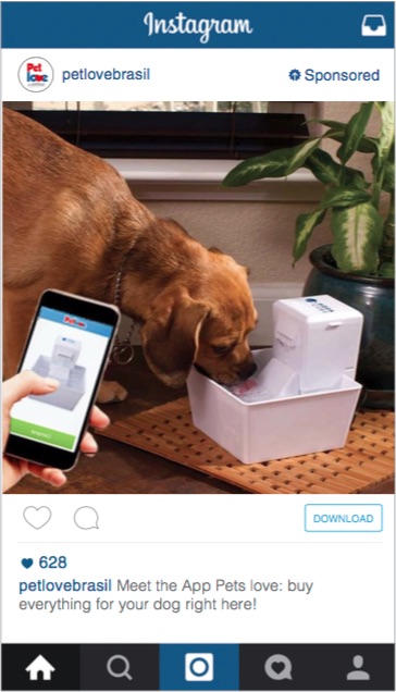 Pet Love Instagram Advertising